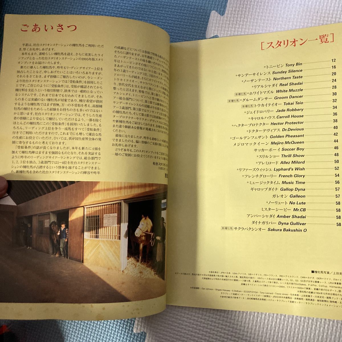 第61回 日本ダービー 東京優駿 ナリタブライアン ゼッケン 第61回 日本ダービー 東京優駿 ナリタブライアン ゼッケン