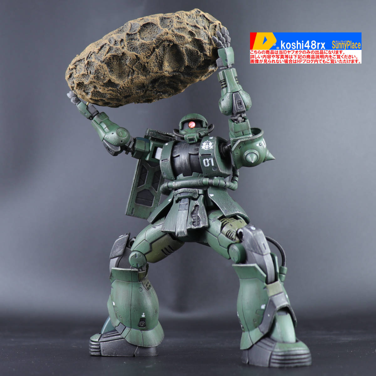 HG 1/144 ククルス・ドアン ザク 徹底改修塗装済完成品 機動戦士