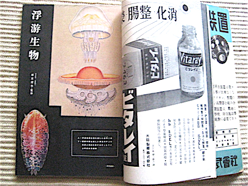 科學朝日★昭和17年7月号★特集・海洋の科學、 航空母艦★戦中の雑誌★野尻抱影★朝日新聞社_画像6