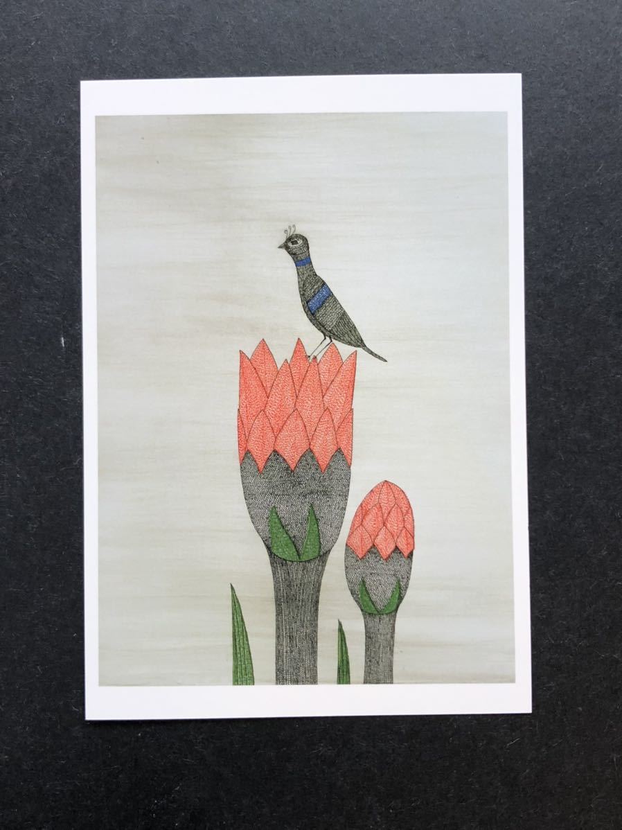 【南桂子のPostcard】　花と鳥_画像1