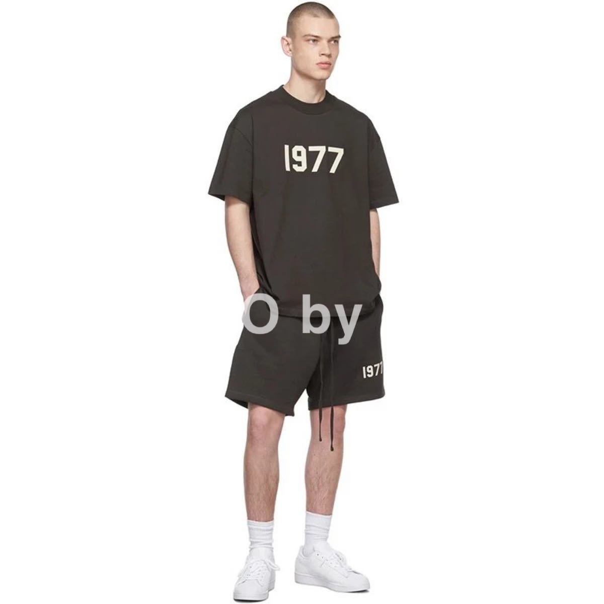 FOG Essentials 1977 T-Shirt Tシャツ L IRON | monsterdog.com.br