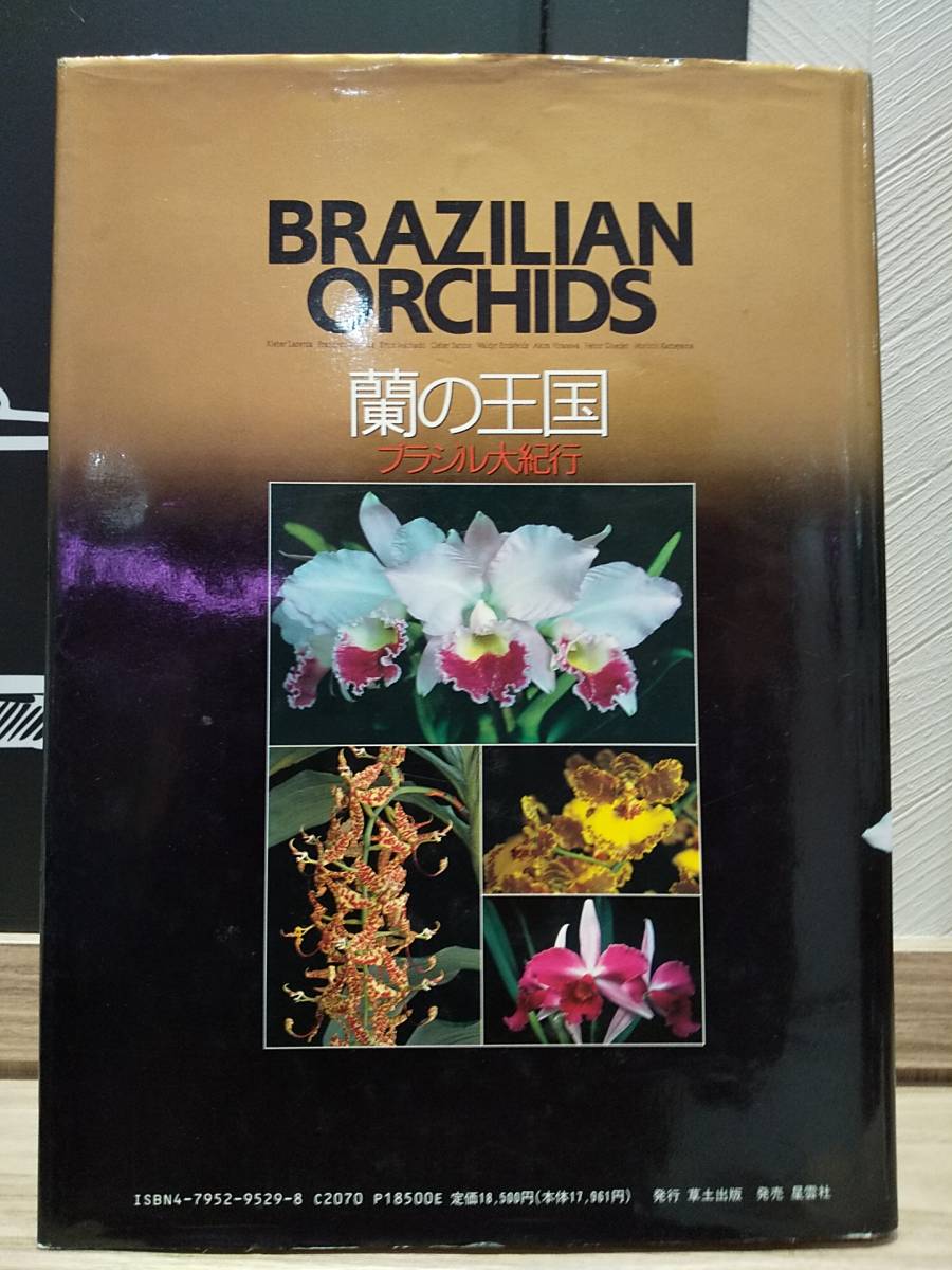 ソフロテイ➁ ヤフオク! - 大型本「蘭の王国 ブラジル大紀行」 洋ラン