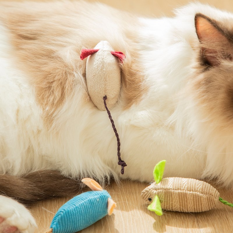 猫 ネズミのおもちゃ 猫び 噛むおもちゃ ペットのおもちゃ 3点セット