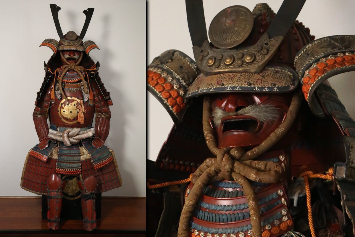 武具 黒胴当世素掛 等身大 甲冑 箱入 鎧 面頬 大鎧 鎧兜 一式 戦国武将