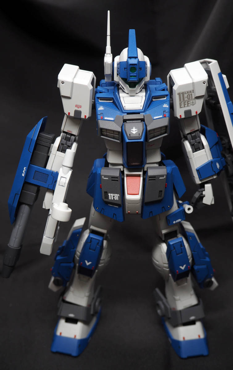 プレバン限定】MG 1/100 RGM-79DO ジム・ドミナンス 塗装済み完成品 の