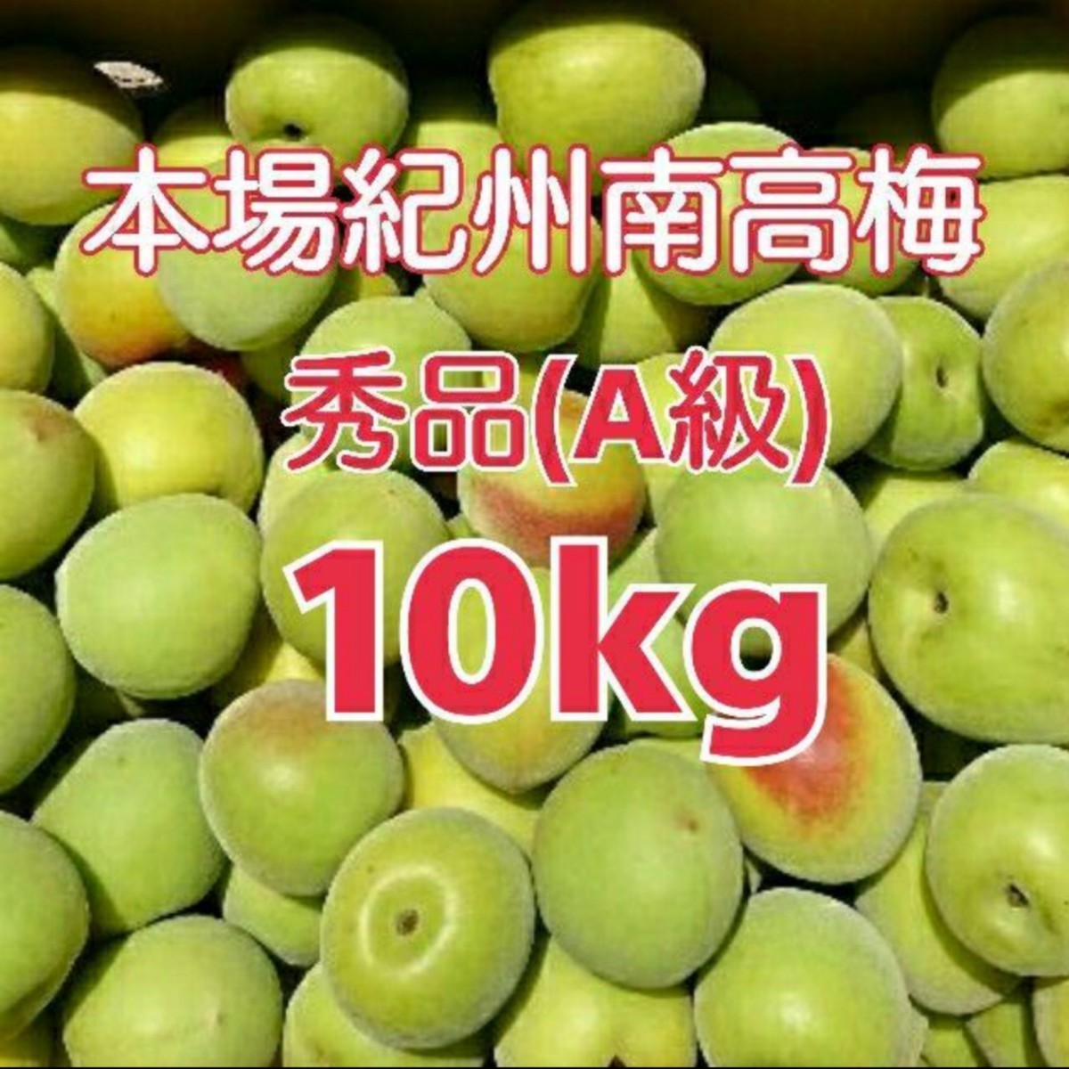 マロンさま♪【クール便1200円】追熟梅 秀品(A級) 3L 10kg csm.fi.cr