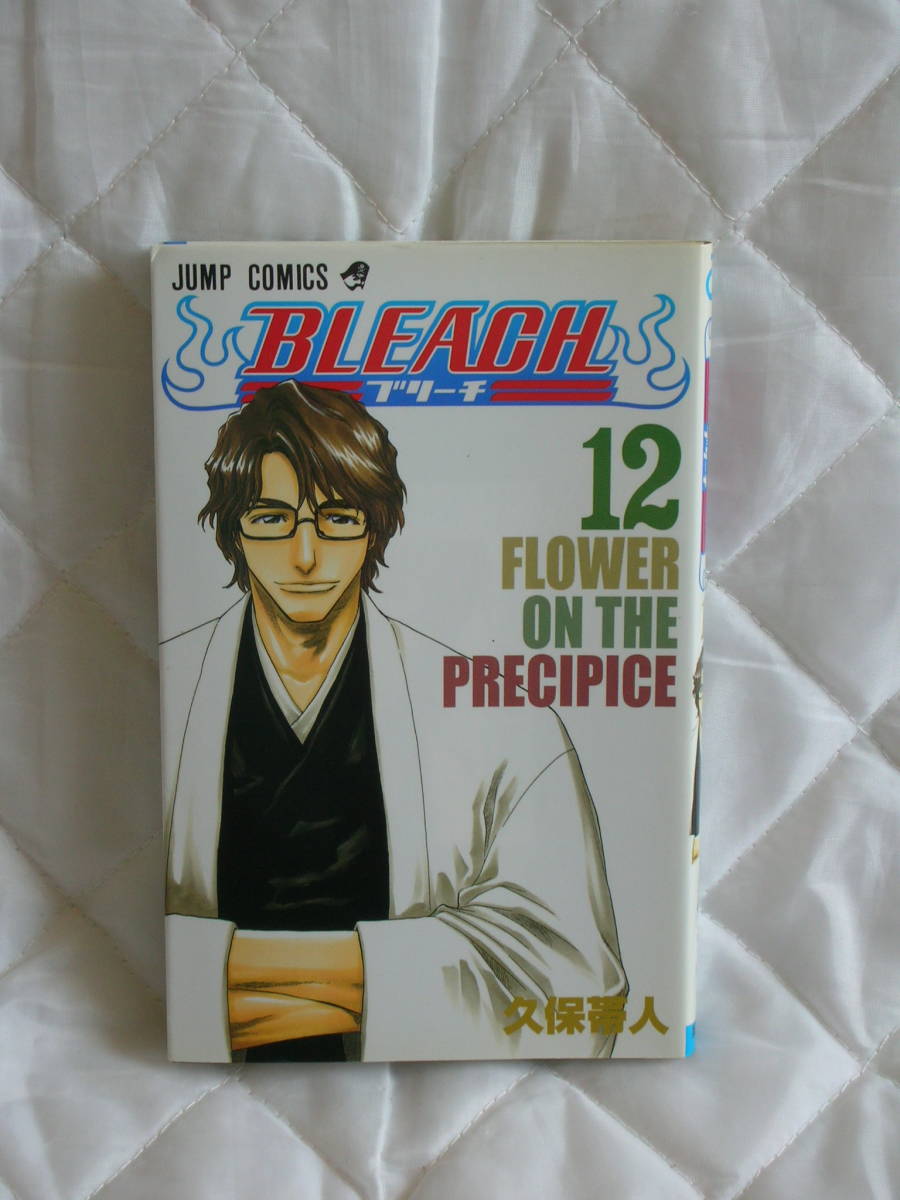 中古本　ＢＬＥＡＣＨ　12巻_画像1