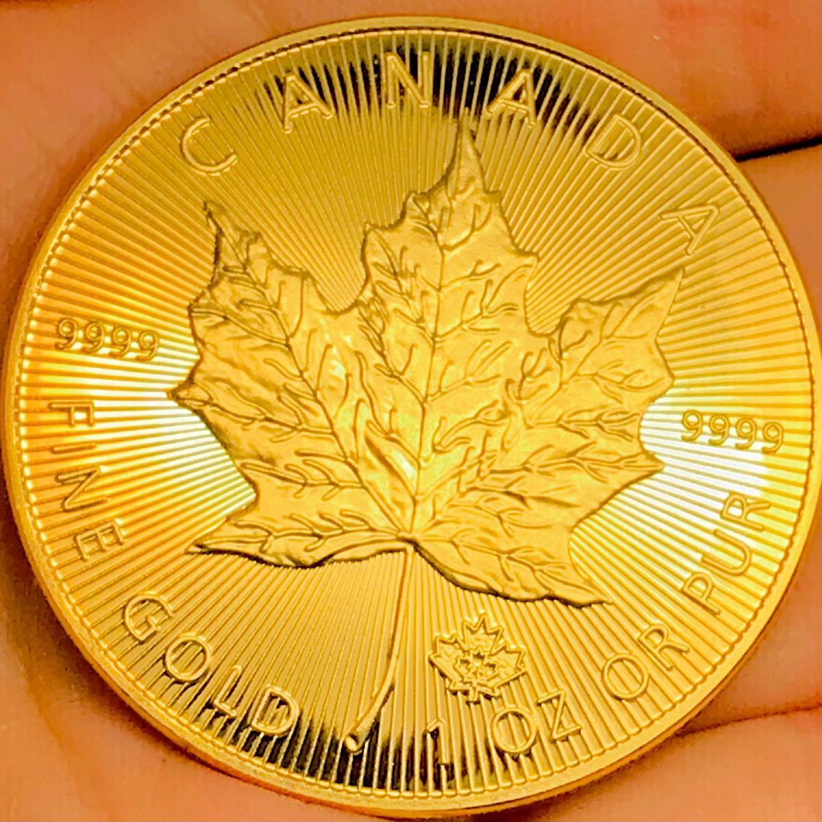 出産祝い  カナダ純金 メープル純金 1/20オンス エリザベス金貨 コイン 旧貨幣/金貨/銀貨/記念硬貨