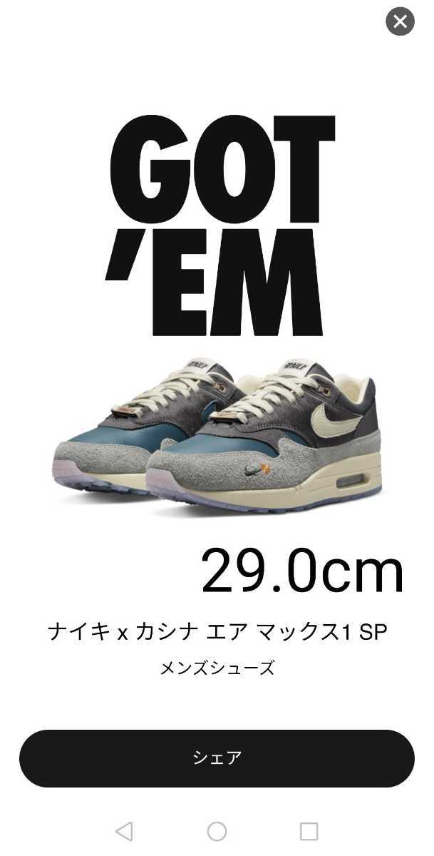Kasina × Nike Air Max 1 29.0cm ナイキ x カシナ エア マックス 1 SP