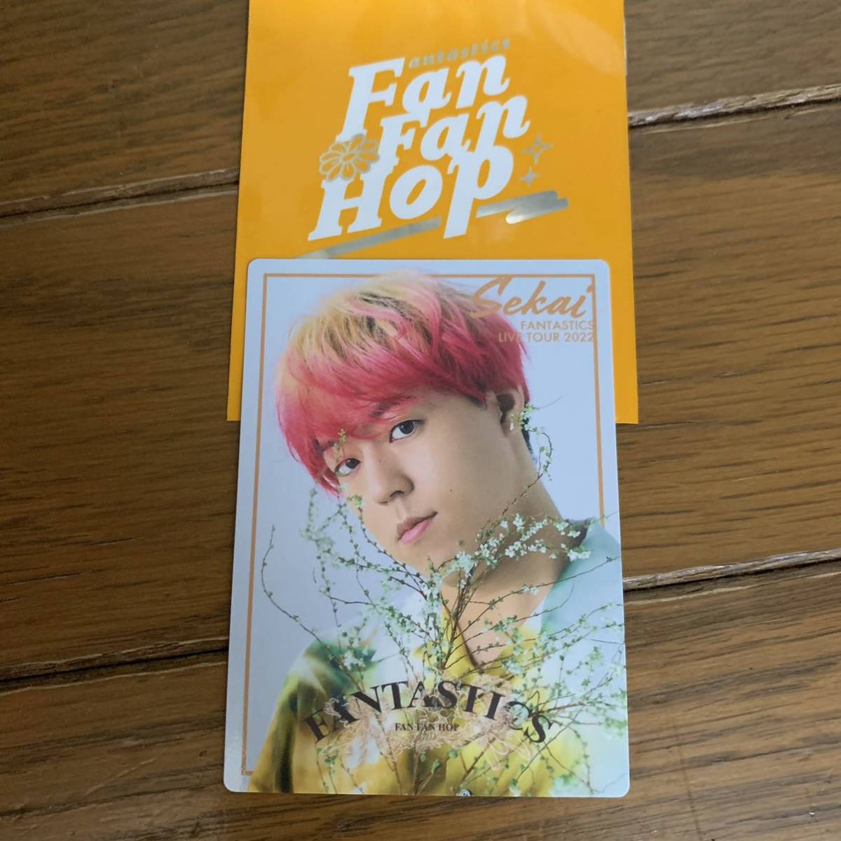 FANTASTICS LIVE TOUR 2022 FAN FAN HOP 世界 フォトカード1