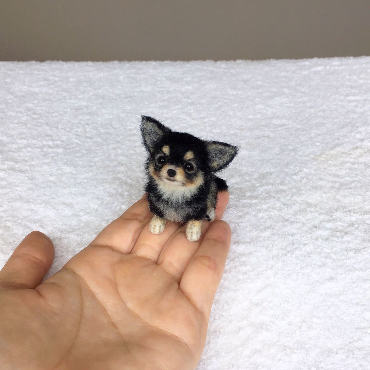 ぴのきち☆5.5cmのチワワパピーちゃん☆羊毛フェルト チワワ ぴのきち☆5.5cmのチワワパピーちゃん☆羊毛フェルト チワワ