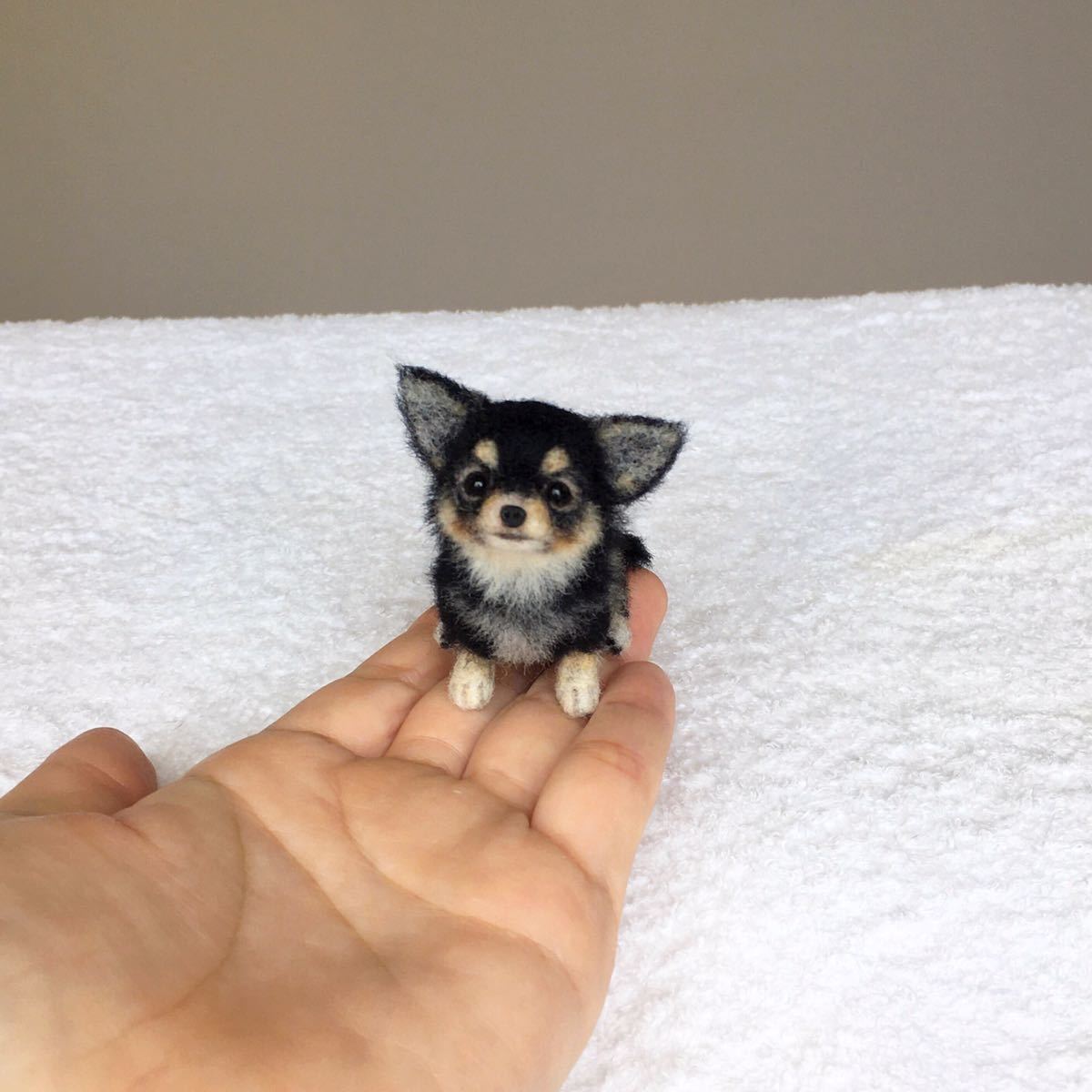 ぴのきち☆5.5cmのチワワパピーちゃん☆羊毛フェルト チワワ ぴのきち☆5.5cmのチワワパピーちゃん☆羊毛フェルト チワワ