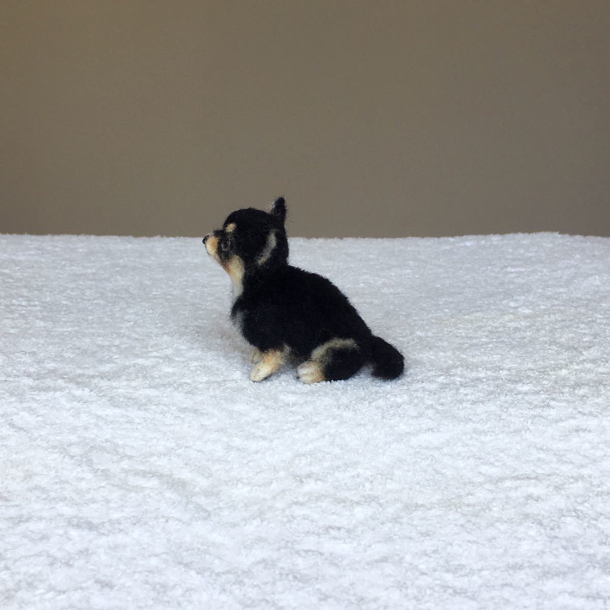 ぴのきち☆5.5cmのチワワパピーちゃん☆羊毛フェルト チワワ ぴのきち☆5.5cmのチワワパピーちゃん☆羊毛フェルト チワワ