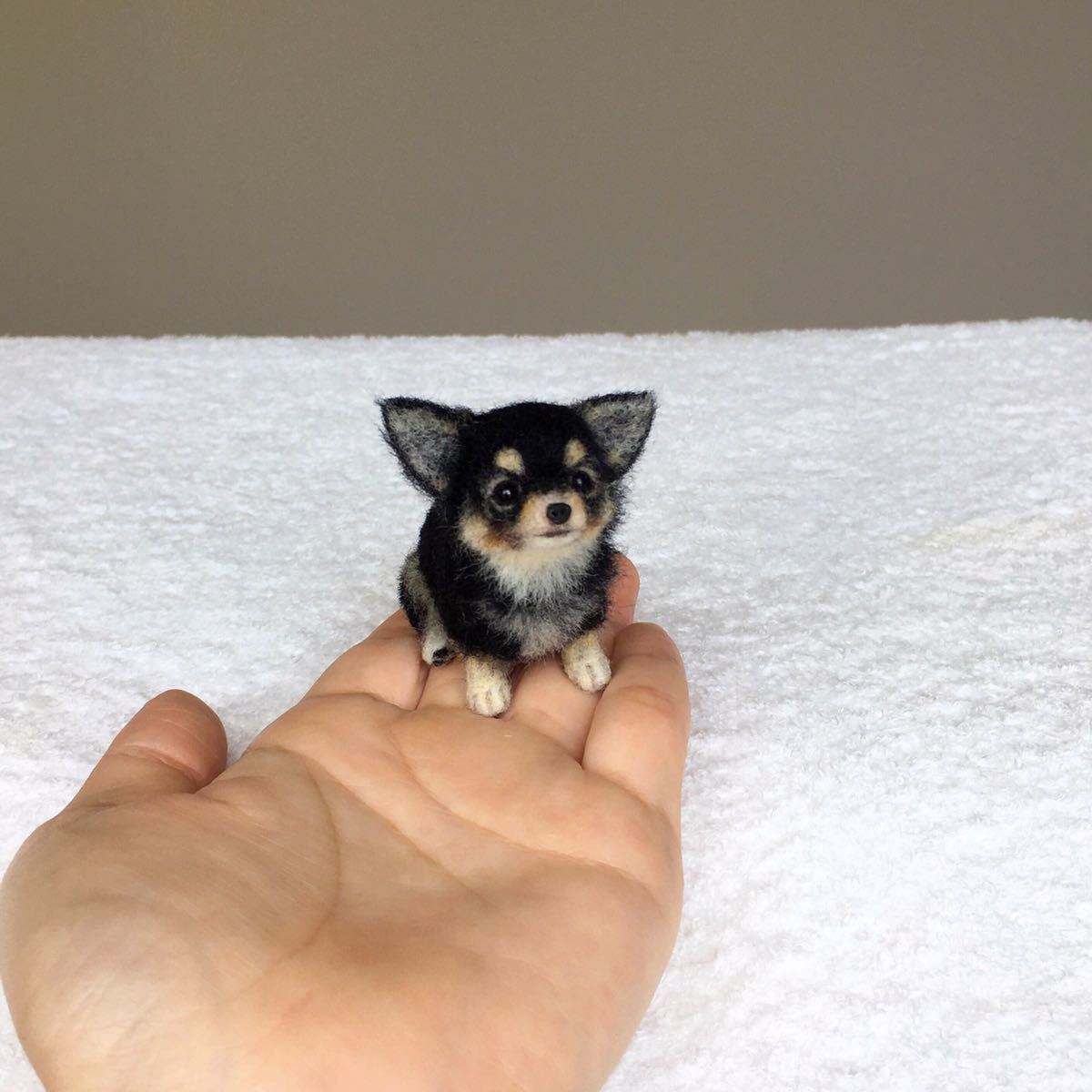 ぴのきち☆5.5cmのチワワパピーちゃん☆羊毛フェルト チワワ ぴのきち☆5.5cmのチワワパピーちゃん☆羊毛フェルト チワワ