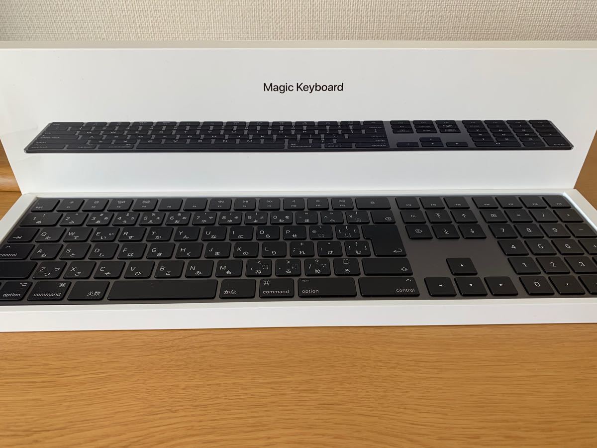 廃盤希少【純正美品】Apple  magic keyboard2＋ magic mouse2 スペースグレイ　オシャレ映え優良品