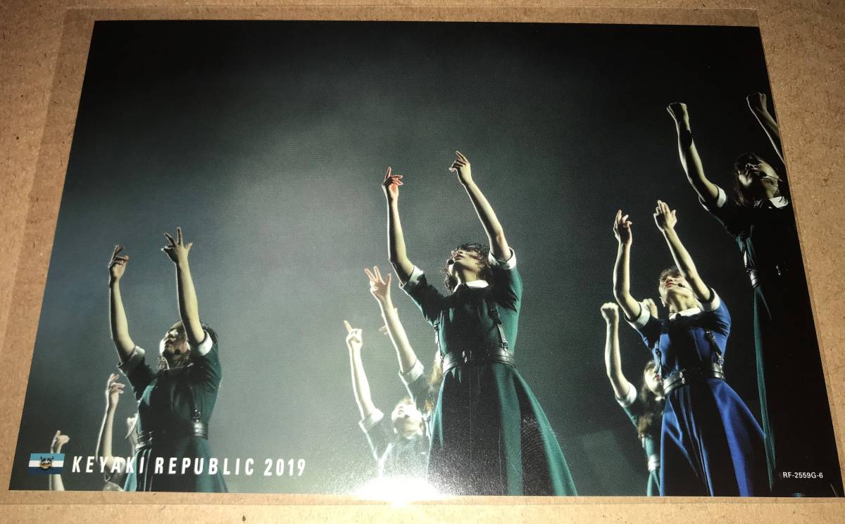 欅坂46 ポストカード Blu-ray 「欅共和国2019」 封入特典 G-6 櫻坂_画像1