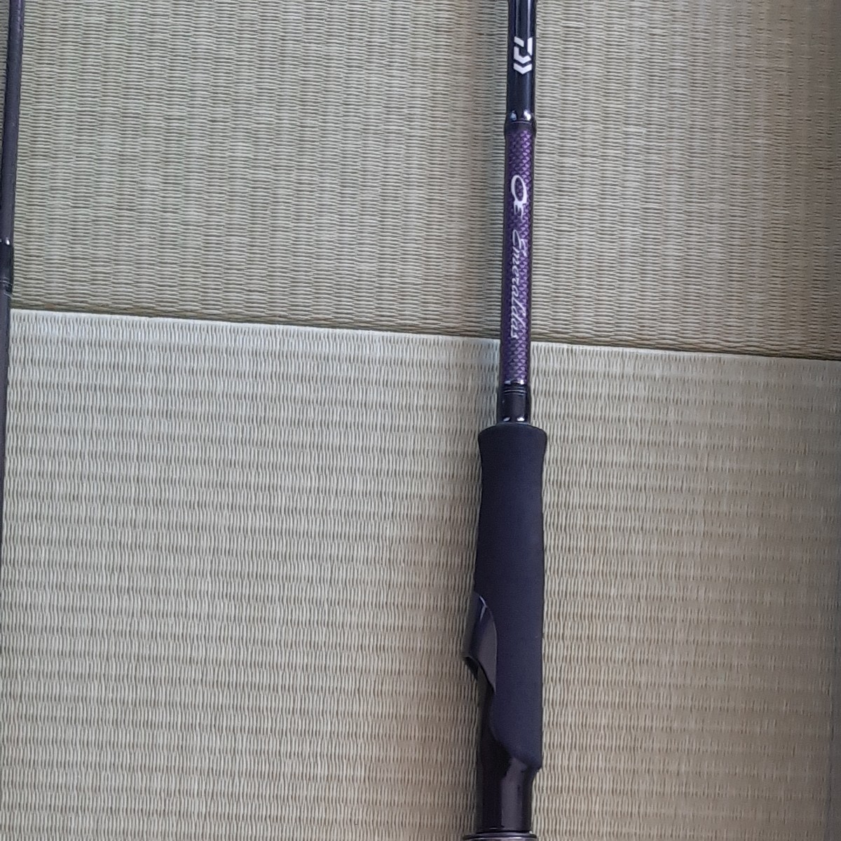 21 エメラルダス MX 83ML・N DAIWA エメラルダス | contifarma.pe