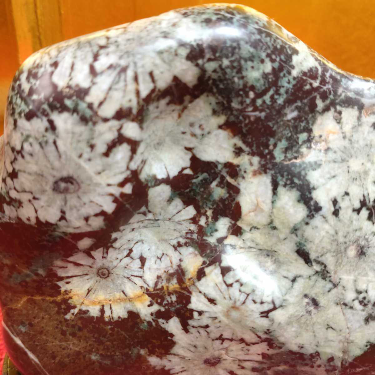 ヤフオク! - 菊花石 岐阜県根尾谷産 鑑賞石 自然石 天然石 盆...