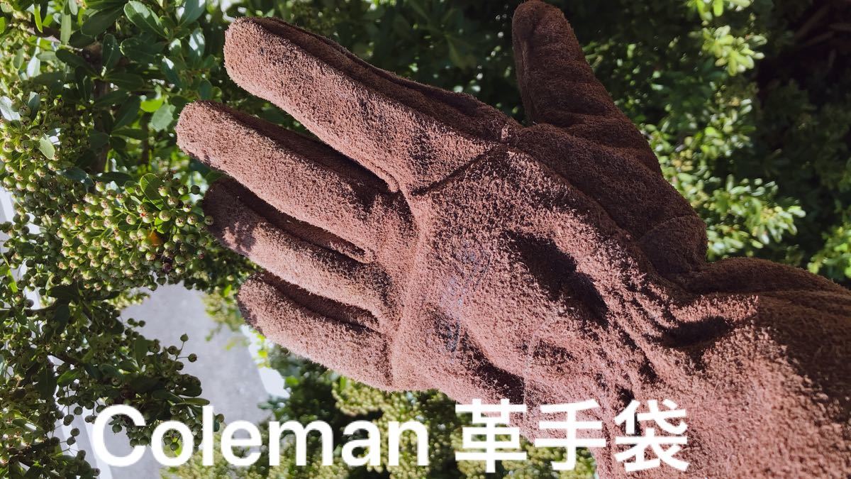 Coleman コールマン ソリッドレザーグリルグローブll 170-9506 【アウトドア/手袋/料理/バーベキュー】