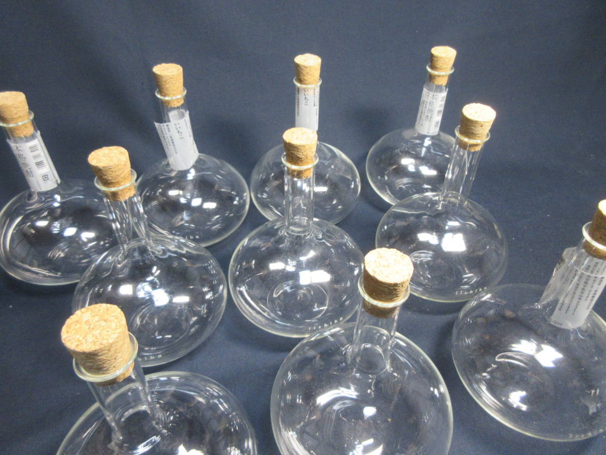 いいちこ フラスコボトル 空瓶 10本 まとめて ガラス瓶 酒ビン 再利用 デカンタ 花瓶 テラリウム ガラス製 売買されたオークション情報 Yahooの商品情報をアーカイブ公開 オークファン Aucfan Com