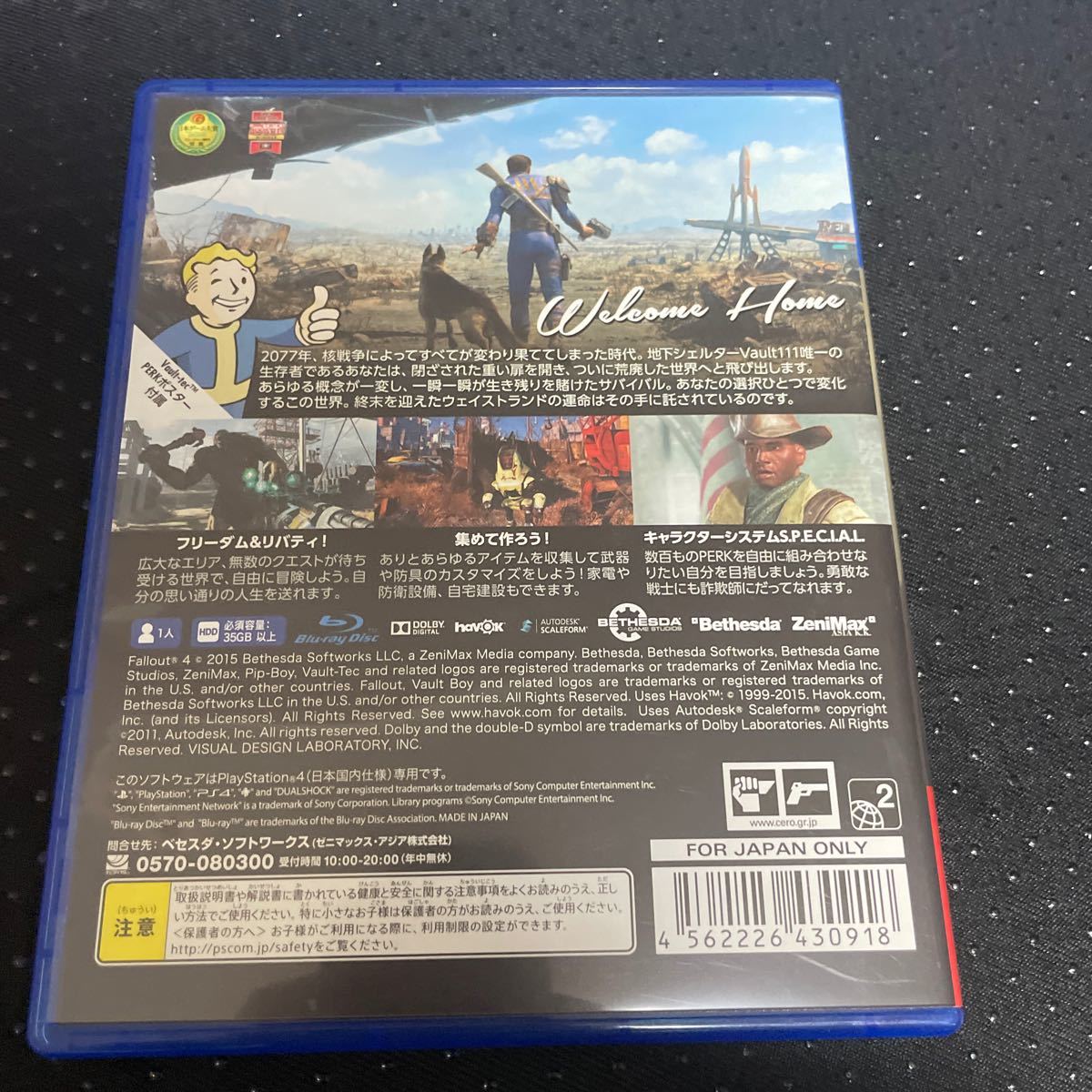 【PS4】 Fallout 4 [通常版]