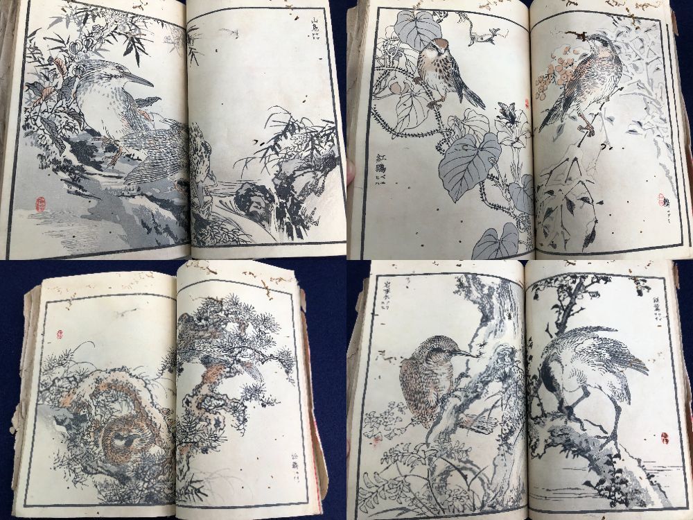 前川文嶺 ウズラ 鶉の図 花鳥画 額入り 書画、骨董品、美術品 前川文嶺 ウズラ 鶉の図 花鳥画 額入り 書画、骨董品、美術品