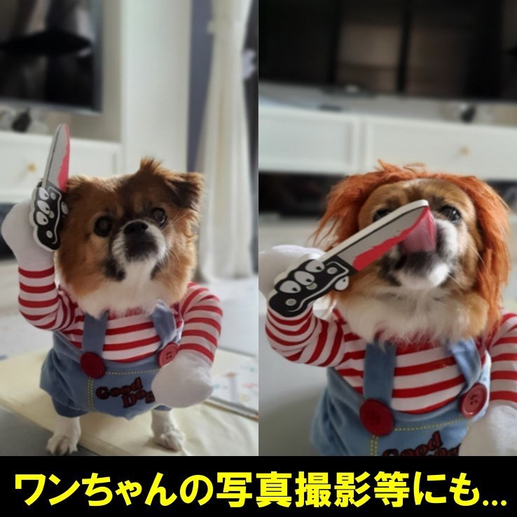 Sサイズ チャッキー ドッグウェア 変装 犬 ハロウィン 犬 猫 服 ペット服 かわいい コスチューム コスプレ 二足歩行 おもしろグッズ その他 売買されたオークション情報 Yahooの商品情報をアーカイブ公開 オークファン Aucfan Com