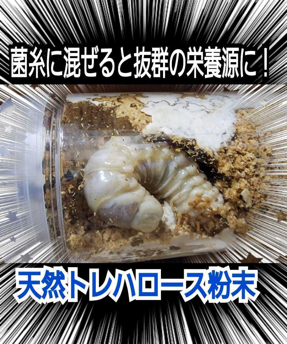  stag beetle * rhinoceros beetle. nutrition source is kore! natural tore Hello s powder * mat .. thread, jelly .... only! size up, production egg number up, length . effect!