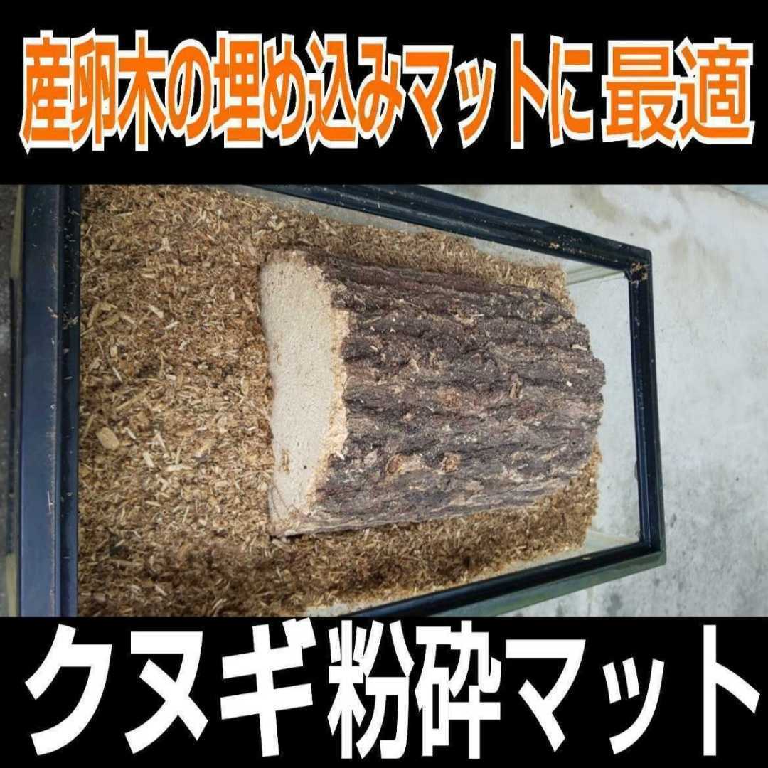 クヌギ朽木粉砕マット☆クワガタ幼虫の餌、成虫飼育に☆自然の栄養素たっぷり！良い香りがします！天然に近い環境で育てたい方にお薦めです_画像4