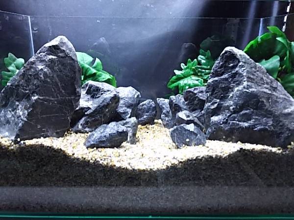 4【人気商品】清流石15キロセット☆検 水槽 龍王石 ADA 熱帯魚 霜降り
