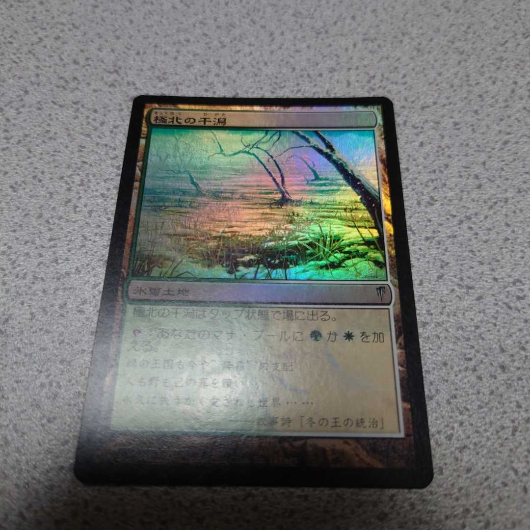 MTG CSP 極北の干潟 日本語foil 一枚 即決_画像1