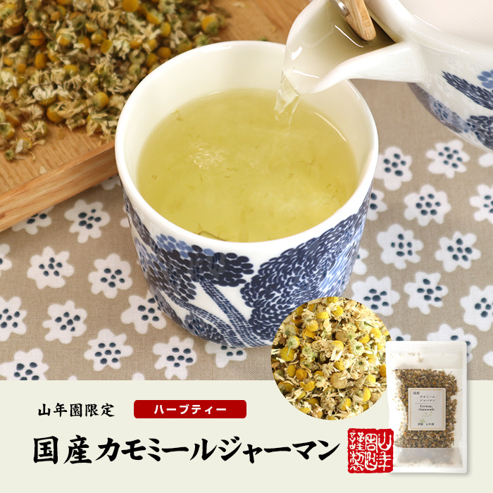 お茶 健康茶 g 10袋 ジャーマンカモミール ハーブティー 国産 熊本県産 農薬不使用 すぐったレディース福袋 ハーブティー