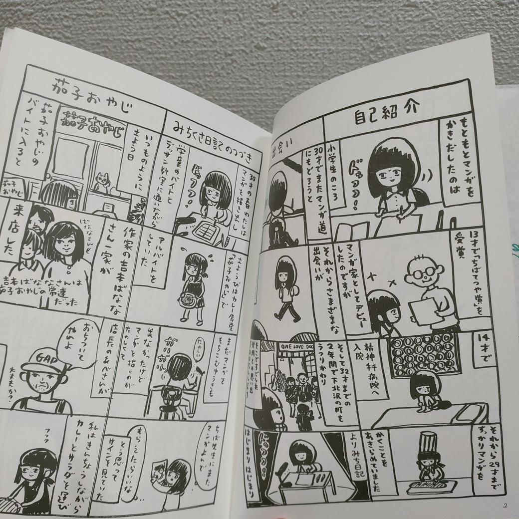 即決！送料無料！ 『 よりみち日記 』 ★ 道草晴子 / 闘病 × 漫画 × 日常生活 / エッセイ 漫画