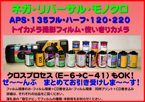 □ネガフィルム現像　同時プリント＋ＣＤデータ書き込み　　光沢・ラスター・マット・ふちあり・なし選択OK　②_画像2