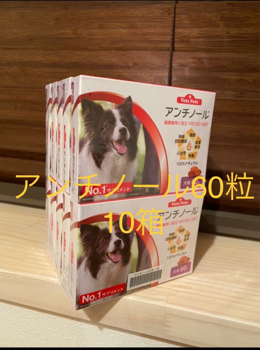 PayPayフリマ｜犬用アンチノール60粒入り新品未開封10箱