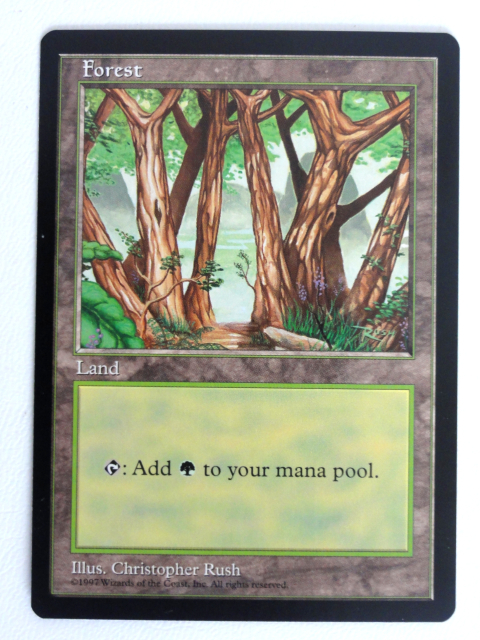 超レア★MTGプロモーションカード【青パック】Island 島：Plains 平地：Forest 森：Mountain 山：Swamp 沼／５枚セット_画像4