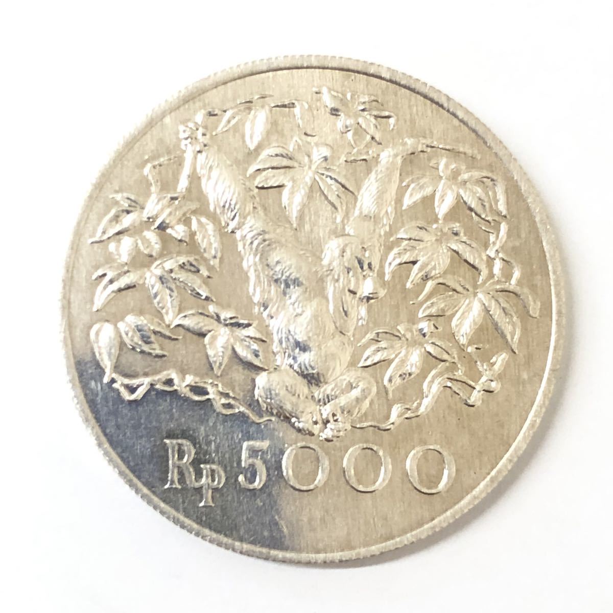 c)銀貨 1974年 インドネシア 5000ルピア オラウータン 希少品 Rp5000 アンティーク コレクション 硬貨 H22-275-14_画像1