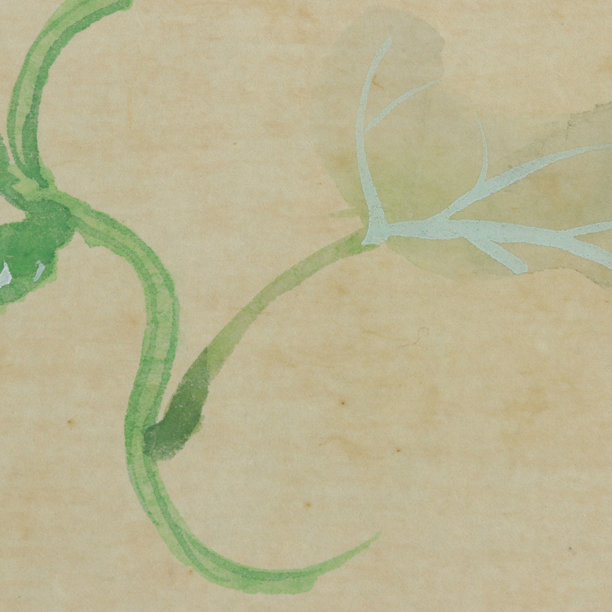 希少【真作】八木暉【野菜図】◇紙本◇共箱◇掛軸 u04008 希少【真作】八木暉【野菜図】◇紙本◇共箱◇掛軸 u04008