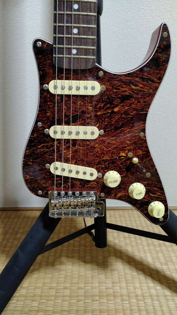 レア ESP Grass Roots GR-PGG CAR ストラトキャスター レア ESP Grass Roots GR-PGG CAR ストラトキャスター