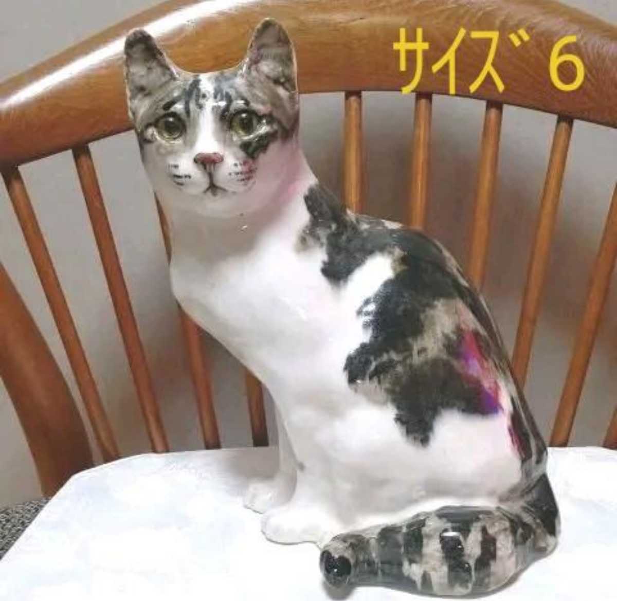 ウィンスタンレイキャット(ケンジントンキャット)サイズ「6」の大きな