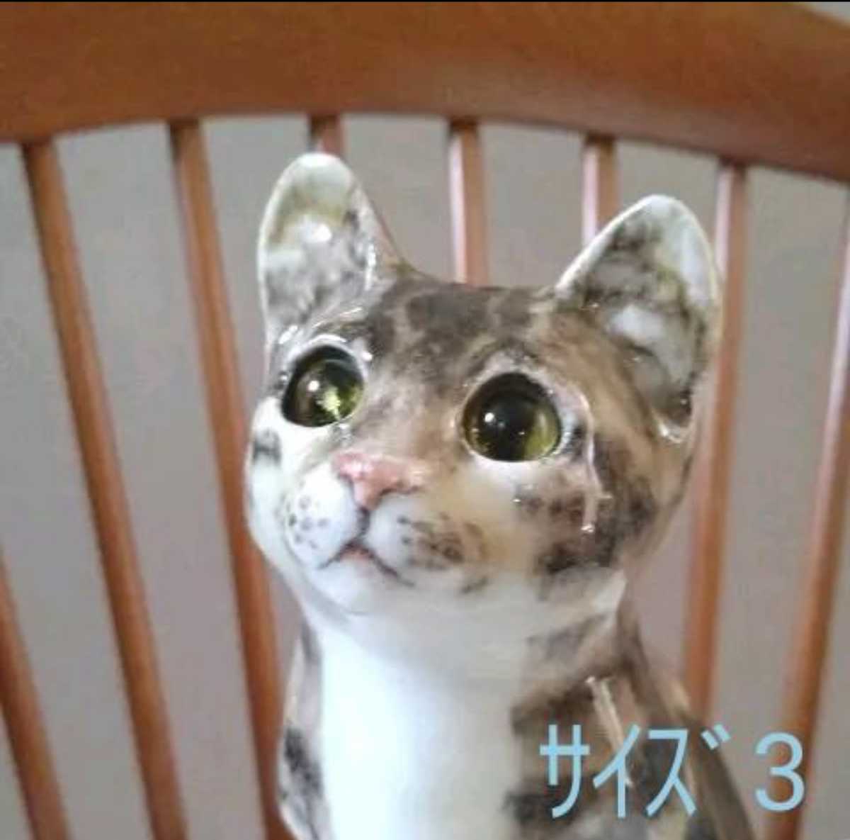 超ラブリ~ ウィンスタンレイキャット(ケンジントンキャット)サイズ3