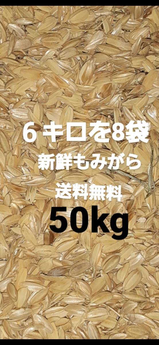 6キロを8袋　大量特売もみがら　籾殻　約50kg　新鮮摺りたて　廃棄も楽チン米袋を8袋　堆肥　土壌改良　ペット敷物　　関東甲信越送料無料_画像1