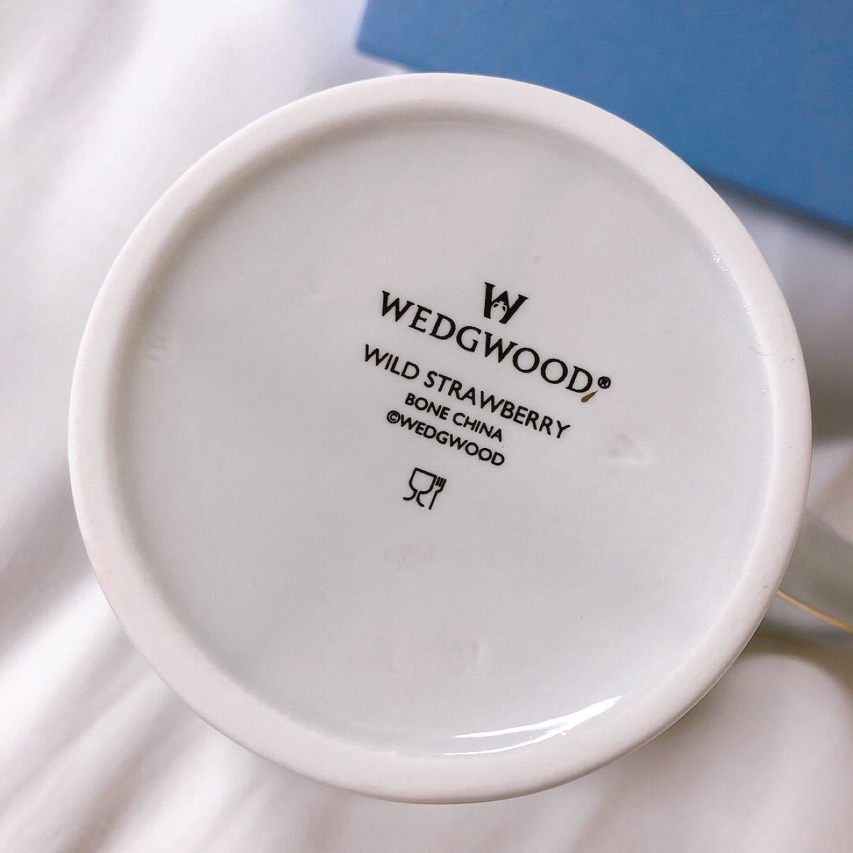 WEDGWOOD ワイルドストロベリー パステル マグ（デルフィ） 300ml  マグカップ ウェッジウッドワイルドストロベリー 