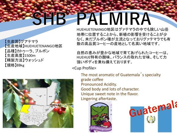 コーヒー生豆 グァテマラ SHB 10kg