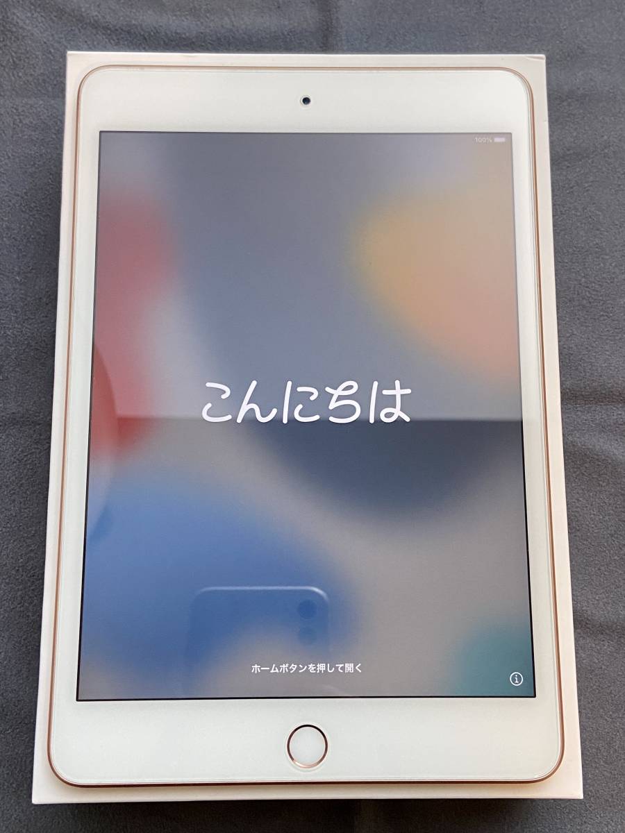 美品】iPad mini5 (第5世代) 256GB ゴールド Wi-Fiモデル - www 