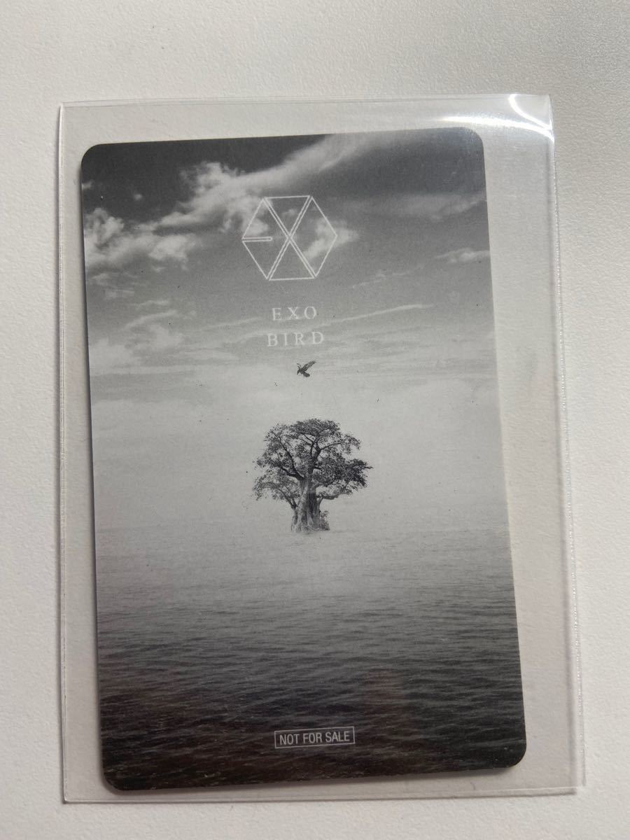 EXO チャニョル bird トレカ | contifarma.pe