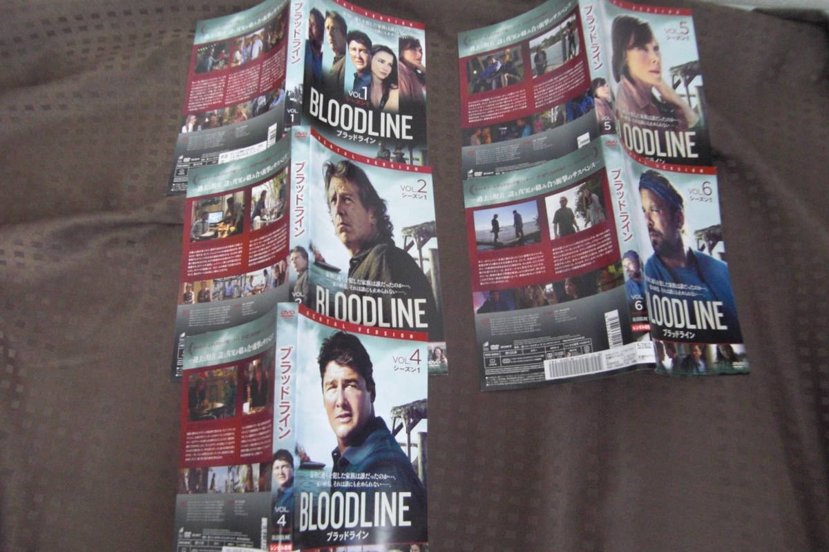 K-dvd713【中古品】BLOODLINE　1st　全5巻セット　レンタル専用_画像2