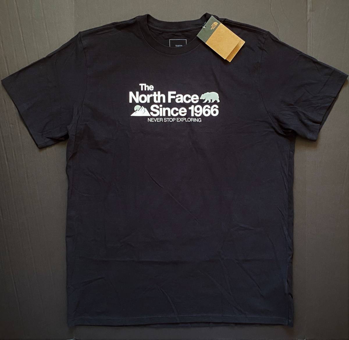 新品USAノースフェイス 1966ロゴTシャツ ブラック (L) アメリカ直営店購入_画像1