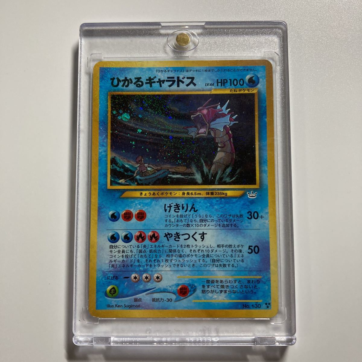 完美品】 極上個体 ひかるギャラドス 旧裏面 ポケモンカード POKEMON