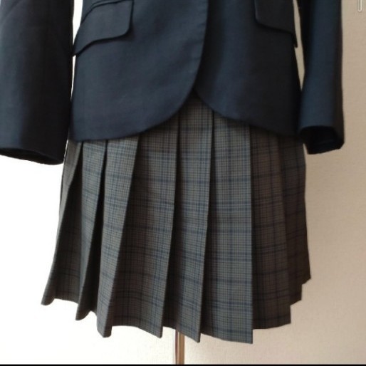 Paypayフリマ コスプレ衣装 一式 ブレザー 制服 プリーツスカート ブラウス リボン なんちゃって女子高生 制服ディズニー 女装 Paypayフリマ コスプレ衣装 一式 ブレザー 制服 プリーツスカート ブラウス リボン なんちゃって女子高生 制服ディズニー 女装